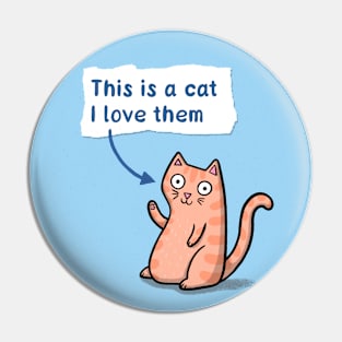 This is a Cat Pin