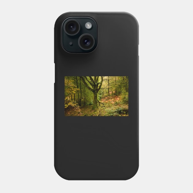 Autumn shades in Skelghyll Woods Phone Case by jldunbar