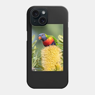 Rainbow Lorikeet on Banksia Phone Case