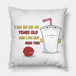 30 or 40 Pillow