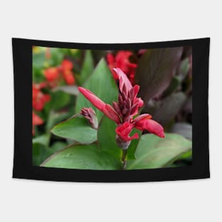 Pink Flower Blooming in Large Leaves Tapestry