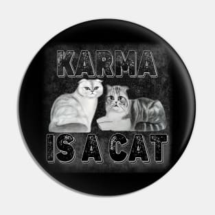 Karma Is A Cat - Beautiful Olivia Benson And Meredith Grey Pin