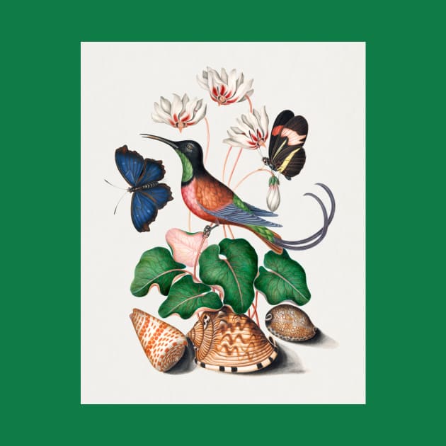 Crimson topaz hummingbird, cyclamen, red postman, and shells by Veiovis