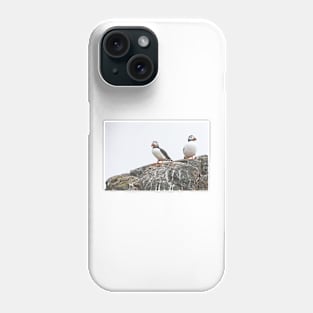 Puffins - Farne Islands Phone Case