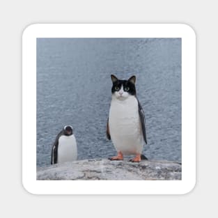 Cat Penguin Design Magnet