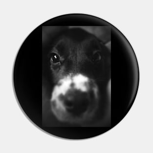 Poppy (Portrait) Pin