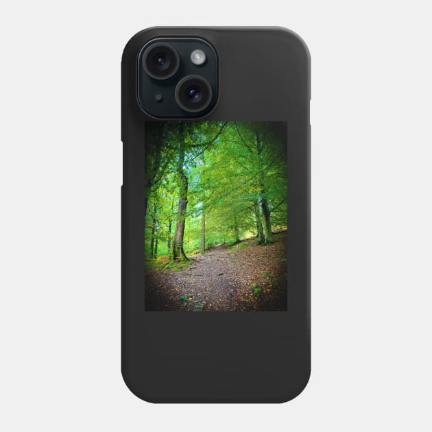 Cotswolds Forest Bridleway Phone Case by Graz-Photos