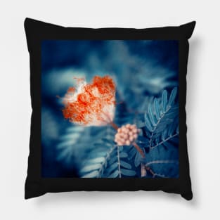 Acacia Flower Pillow