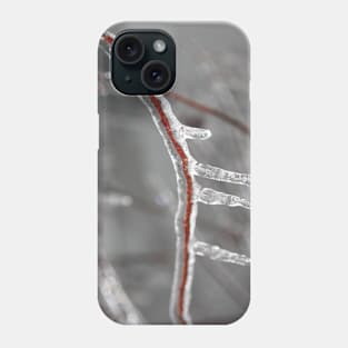 Waiting for Spring Phone Case