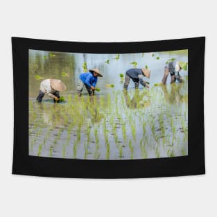 Paddy Field 1(2) Tapestry