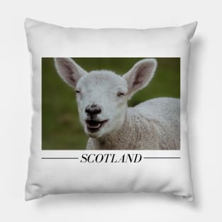 Scotland | Unique Beautiful Travelling Home Decor | Phone Cases Stickers Wall Prints | Scottish Travel Photographer  | ZOE DARGUE PHOTOGRAPHY | Glasgow Travel Photographer Pillow