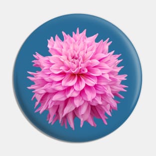 Pink Ball Dahlia Flower Pin