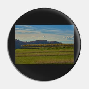 Kaiserstuhl - vines Pin