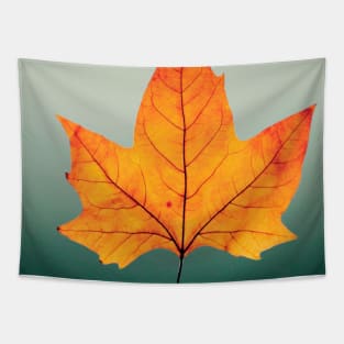 Nature Autumn Tapestry