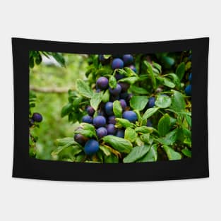 Plums On Tree Branch - Healthy Fruit Abstract Tapestry