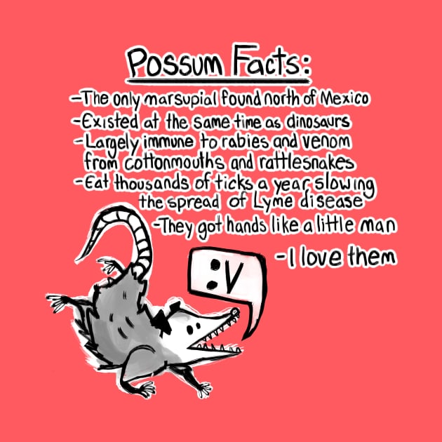Possum facts by Elliot HT Art