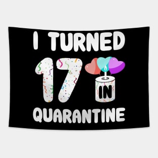 I Turned 17 In Quarantine Tapestry