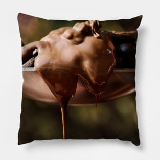 Downfall Pillow