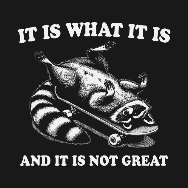 It Is What It Is And Its Not Great Funny Raccoon Meme by Visual Vibes