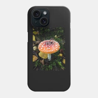 Fairy Fungus Toadstool Village - Foraging for Food? Be careful what you eat!! Phone Case