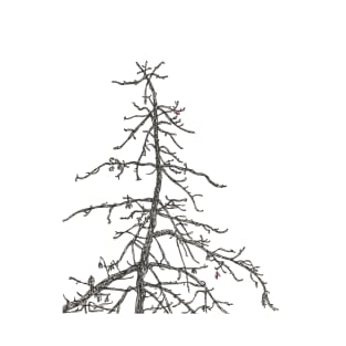 Winter Tree T-Shirt