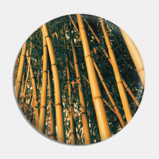 Bamboo processed photo Pin