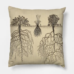 Vintage Roots Pillow