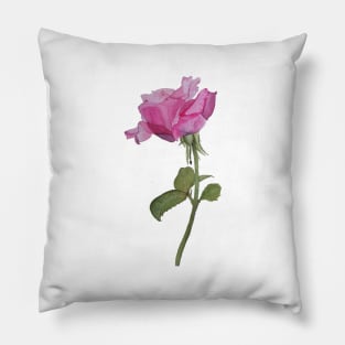 Watercolor rose Pillow