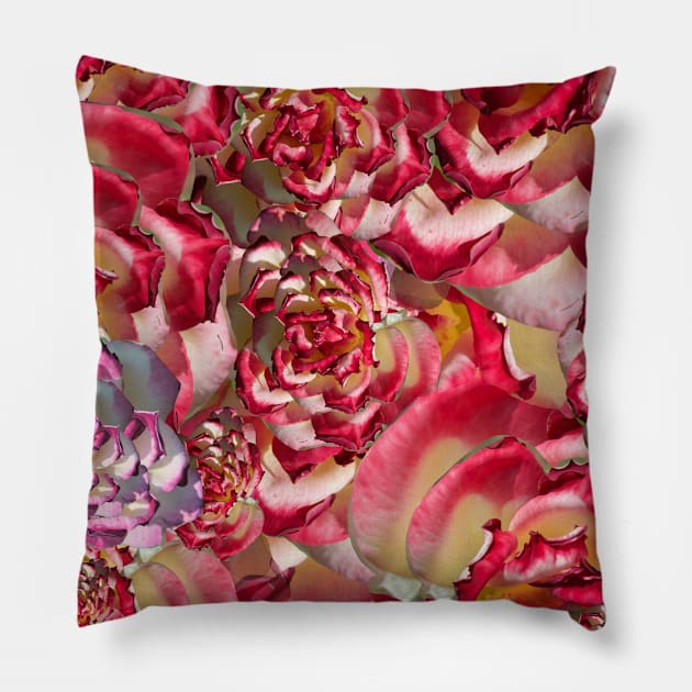 Kaleidoscope of Roses Pillow by JoyInArt