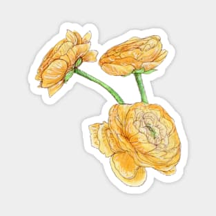 Yellow Peonies Magnet