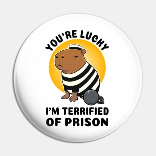 You're lucky I'm terrified of prison Capybara Prisioner Pin