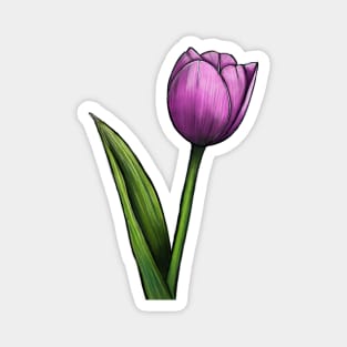 Tulip Magnet