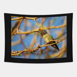 Afternoon hummingbird Tapestry