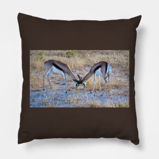 Two springbok. Pillow