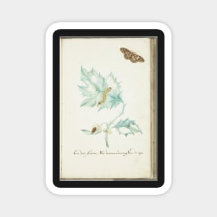 caterpillar and butterfly Magnet