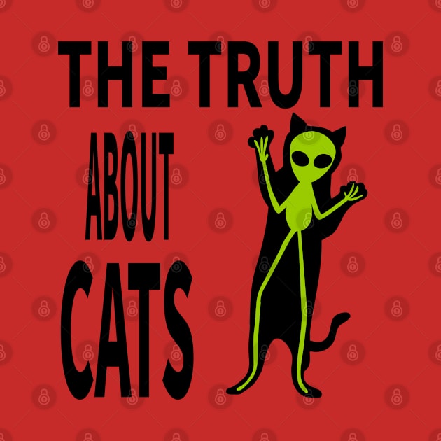 THE TRUTH ABOUT CATS by MoreThanThat