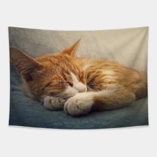 ginger cat resting on a sofa Tapestry