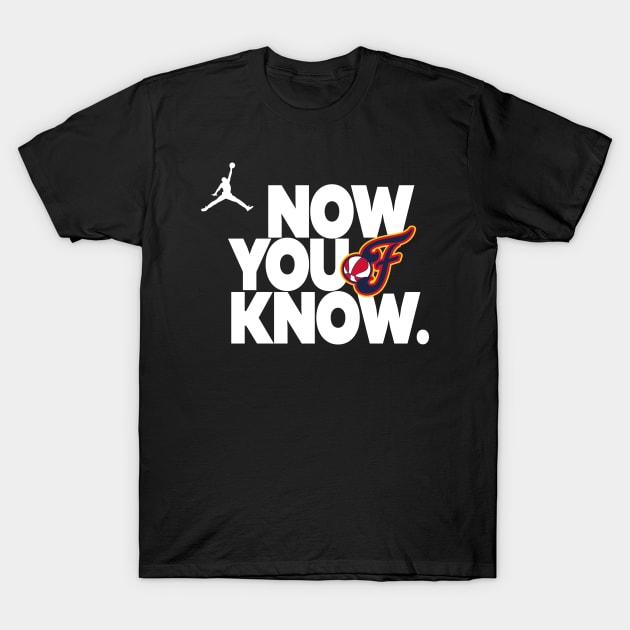 Now You Know Indiana Fever jordan