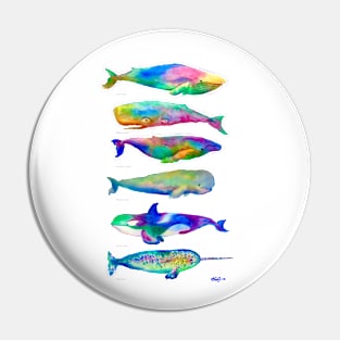 Multicolor Watercolor Whales Pin