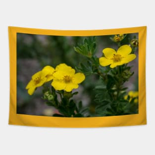 Buttercups Tapestry