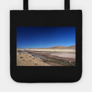 Bolivie - Salar d'Uyuni Tote