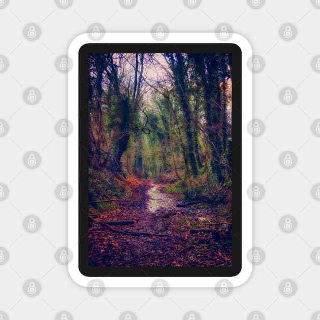 Wet and Wild Woods Magnet by InspiraImage