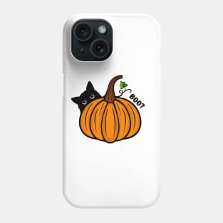 Cute kitty with his Pumpkin Phone Case