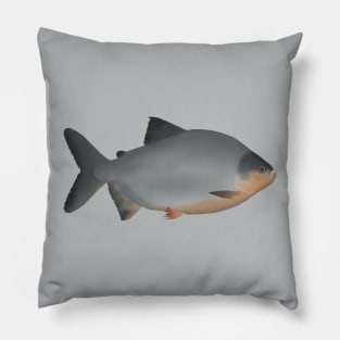 Red-bellied Pacu Pillow