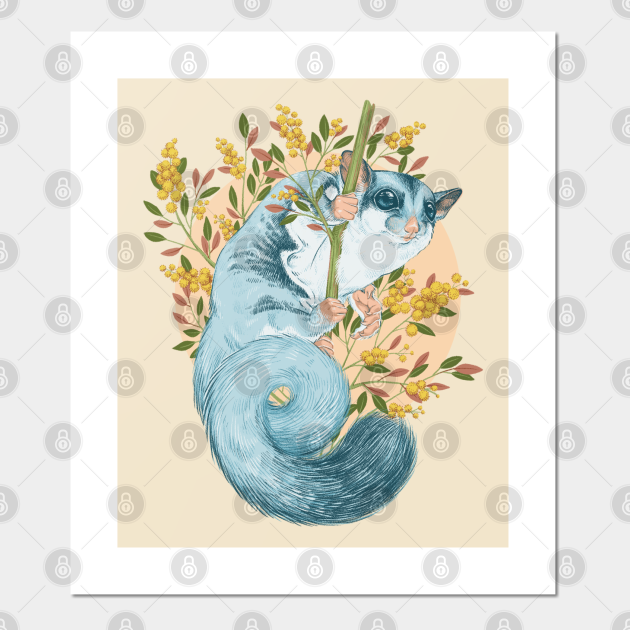 Sugar Glider - Sugar Glider - Posters and Art Prints