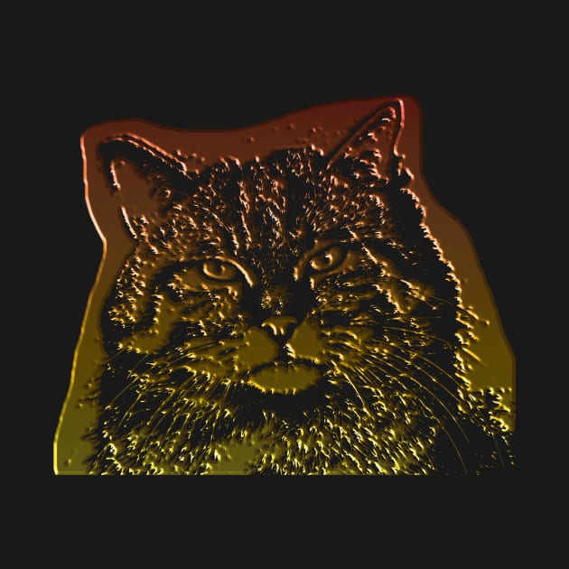 wild cat, 3d by Hujer