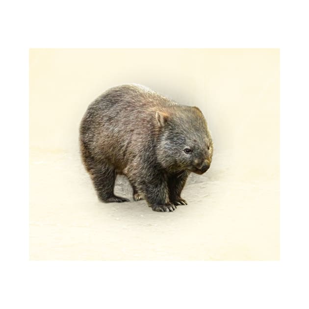 Wombat by Guardi