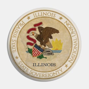 Vintage Illinois State USA United States of America American Flag Pin