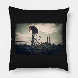 Surreal cat Pillow