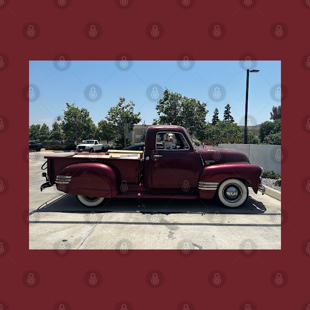 1949 Chevy 3100 by Nenas60